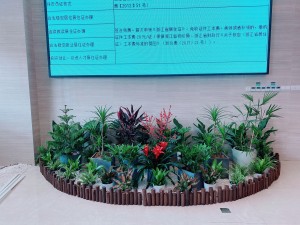 江北区公安窗口大厅绿植摆放