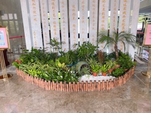 企业大厅花卉绿植摆放组合
