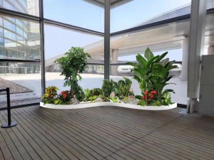 写字楼大厅绿植组合造景