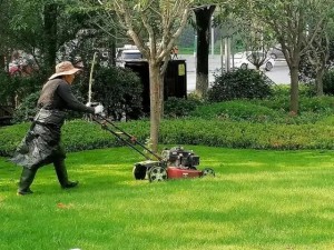 厂区绿化草坪修剪