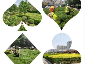 商场室外绿化灌木修剪