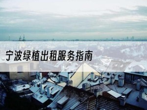 宁波绿植出租服务指南