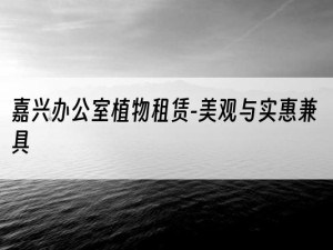 嘉兴办公室植物租赁-美观与实惠兼具