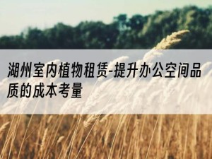 湖州室内植物租赁-提升办公空间品质的成本考量