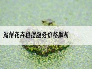 湖州花卉租摆服务价格解析
