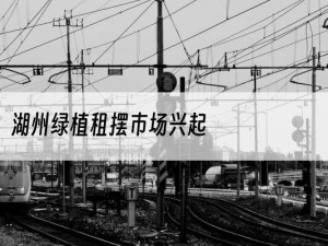 湖州绿植租摆市场兴起