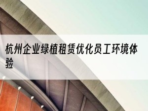 杭州企业绿植租赁优化员工环境体验