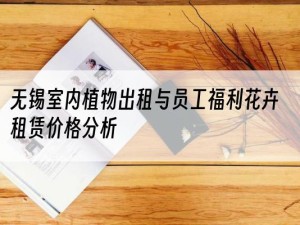 无锡室内植物出租与员工福利花卉租赁价格分析