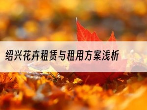 绍兴花卉租赁与租用方案浅析