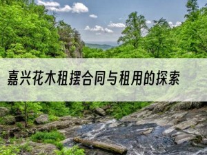 嘉兴花木租摆合同与租用的探索