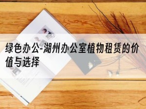 绿色办公-湖州办公室植物租赁的价值与选择