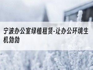 宁波办公室绿植租赁-让办公环境生机勃勃