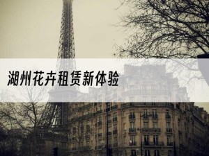 湖州花卉租赁新体验