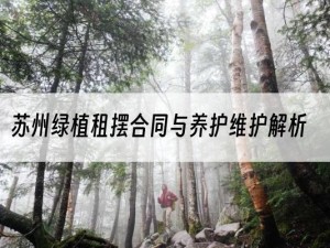 苏州绿植租摆合同与养护维护解析