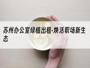 苏州办公室绿植出租-焕活职场新生态