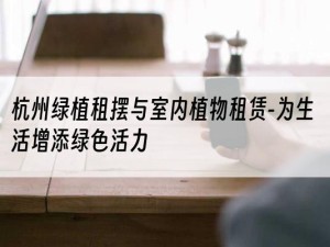 杭州绿植租摆与室内植物租赁-为生活增添绿色活力