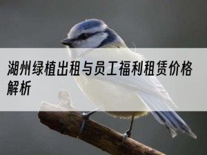 湖州绿植出租与员工福利租赁价格解析