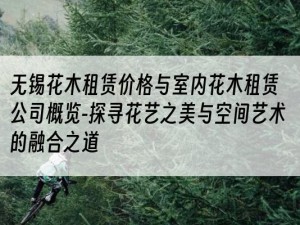 无锡花木租赁价格与室内花木租赁公司概览-探寻花艺之美与空间艺术的融合之道