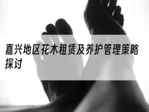 嘉兴地区花木租赁及养护管理策略探讨