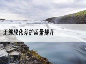 无锡绿化养护质量提升