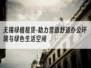 无锡绿植租赁-助力营造舒适办公环境与绿色生活空间