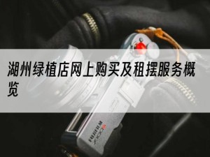 湖州绿植店网上购买及租摆服务概览
