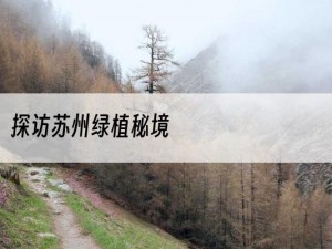 探访苏州绿植秘境