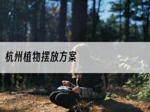 杭州植物摆放方案