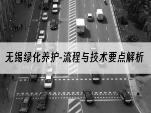 无锡绿化养护-流程与技术要点解析