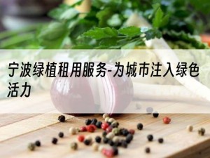 宁波绿植租用服务-为城市注入绿色活力
