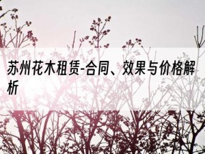 苏州花木租赁-合同、效果与价格解析