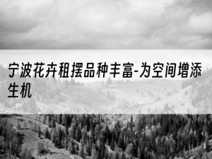 宁波花卉租摆品种丰富-为空间增添生机