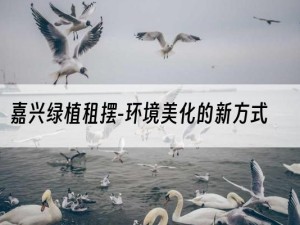 嘉兴绿植租摆-环境美化的新方式