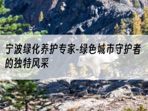 宁波绿化养护专家-绿色城市守护者的独特风采