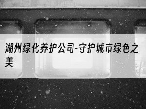 湖州绿化养护公司-守护城市绿色之美