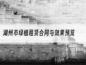 湖州市绿植租赁合同与效果预览