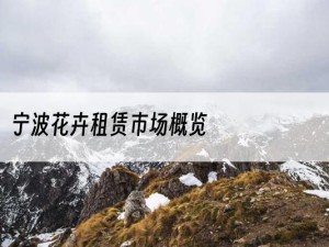 宁波花卉租赁市场概览