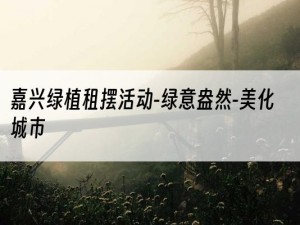 嘉兴绿植租摆活动-绿意盎然-美化城市