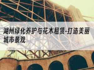 湖州绿化养护与花木租赁-打造美丽城市景观