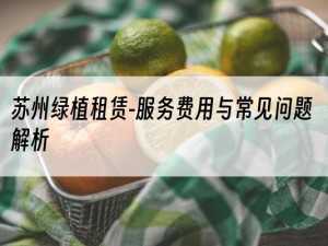苏州绿植租赁-服务费用与常见问题解析