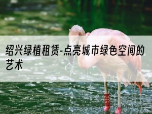 绍兴绿植租赁-点亮城市绿色空间的艺术