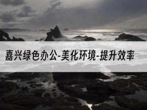 嘉兴绿色办公-美化环境-提升效率