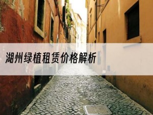 湖州绿植租赁价格解析