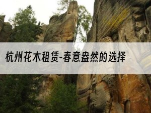 杭州花木租赁-春意盎然的选择