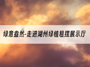 绿意盎然-走进湖州绿植租摆展示厅