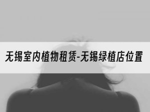 无锡室内植物租赁-无锡绿植店位置