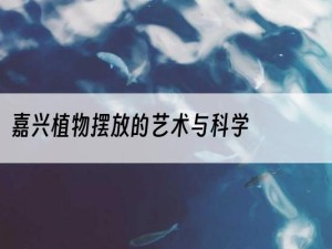 嘉兴植物摆放的艺术与科学