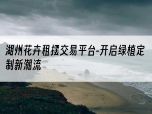 湖州花卉租摆交易平台-开启绿植定制新潮流