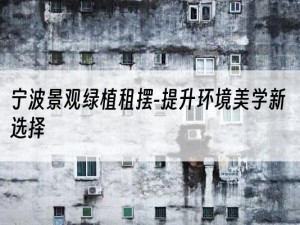 宁波景观绿植租摆-提升环境美学新选择