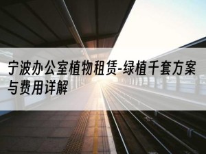 宁波办公室植物租赁-绿植千套方案与费用详解